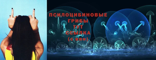 трава Абаза