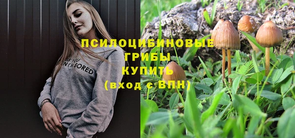 винт Абинск