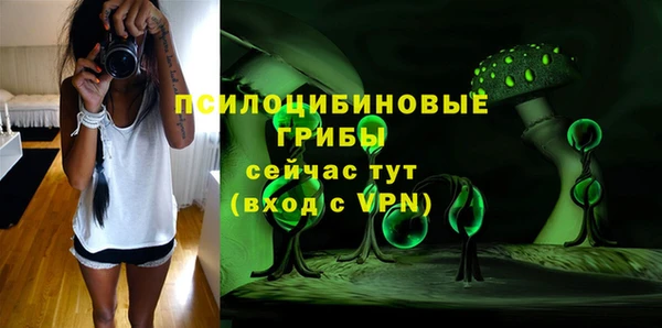 трава Абаза