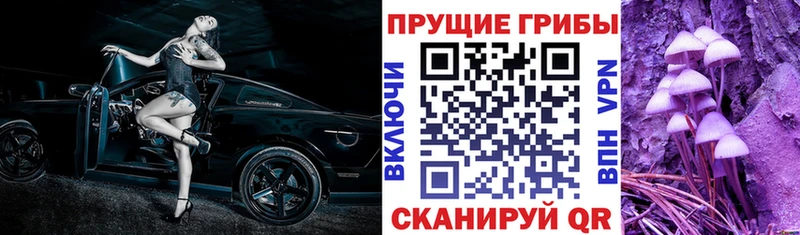 Галлюциногенные грибы мицелий  Шилка 